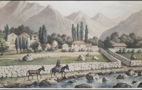 about the traveller