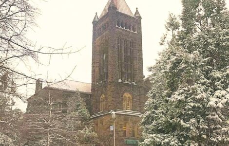 University of Illinois research grant